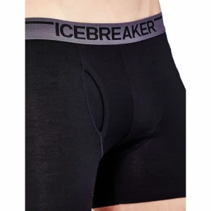 Promo 🔥 Icebreaker Anatomica Boxers – Boxer homme 😀 15