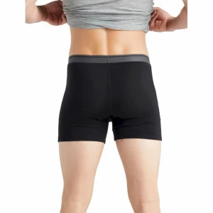 Promo 🔥 Icebreaker Anatomica Boxers – Boxer homme 😀 17