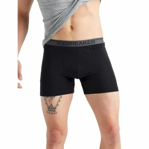 Promo 🔥 Icebreaker Anatomica Boxers – Boxer homme 😀 5