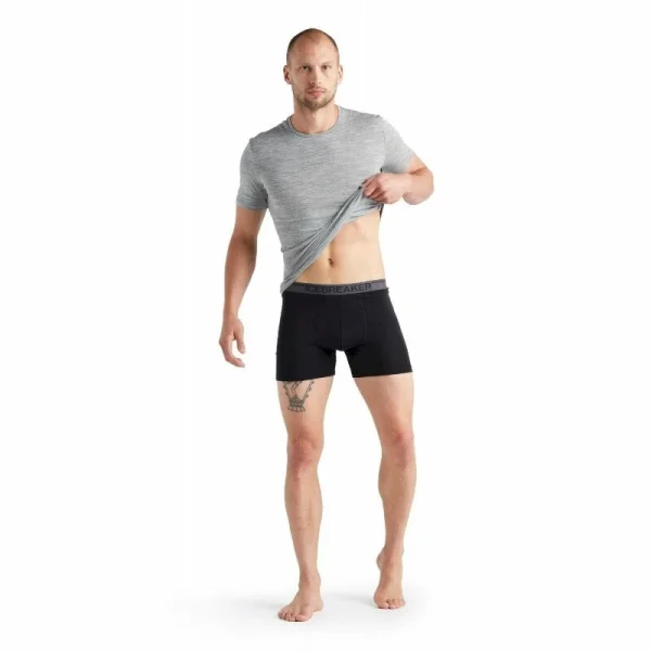 Promo 🔥 Icebreaker Anatomica Boxers – Boxer homme 😀 7