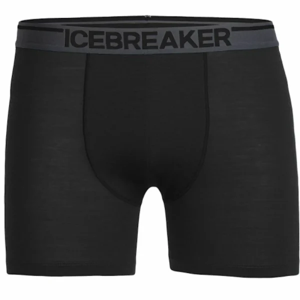 Promo 🔥 Icebreaker Anatomica Boxers – Boxer homme 😀 1