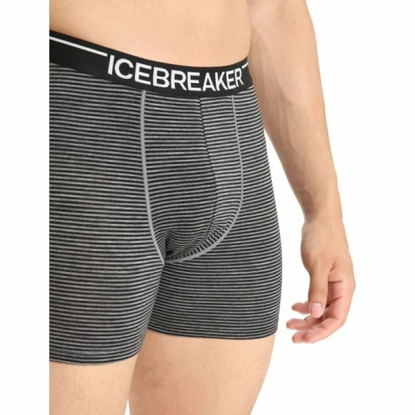 Promo 🔥 Icebreaker Anatomica Boxers – Boxer homme 😀 11