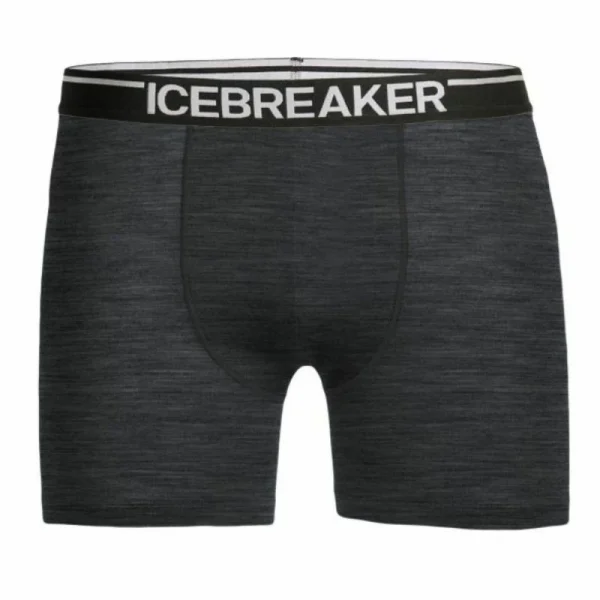 Promo 🔥 Icebreaker Anatomica Boxers – Boxer homme 😀 8
