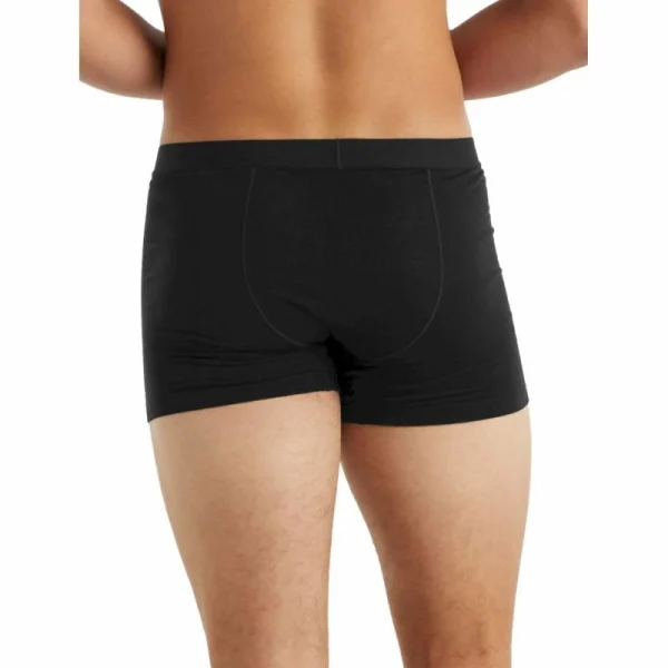 Large choix en ligne Les meilleures critiques de 💯 Icebreaker Anatomica Cool-Lite Boxers – Boxer homme 🔥 3