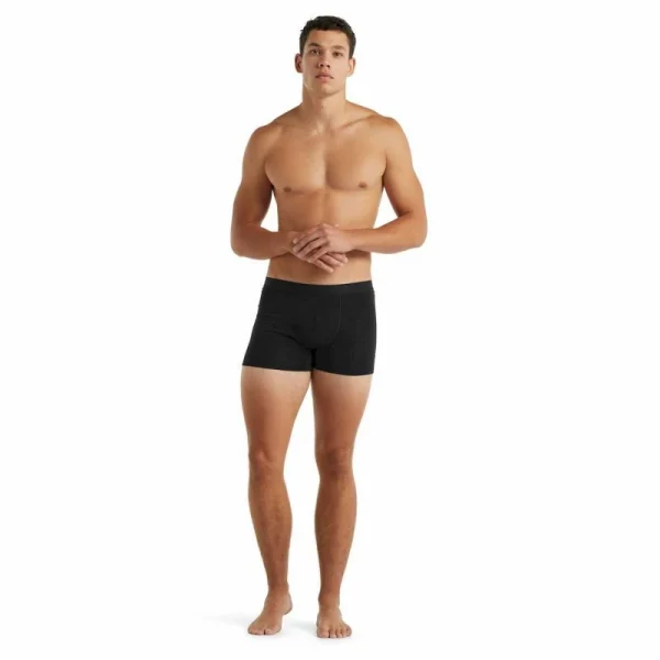 Large choix en ligne Les meilleures critiques de 💯 Icebreaker Anatomica Cool-Lite Boxers – Boxer homme 🔥 4