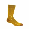 Meilleure affaire 🛒 Icebreaker Anatomica Hike Medium Crew – Chaussettes en laine mérinos homme I Hardloop 😀 site soldes 16
