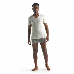 Tout neuf 👏 Icebreaker Anatomica Short Sleeve col V en Mérinos – T-shirt en laine mérinos homme I Hardloop 🌟 13