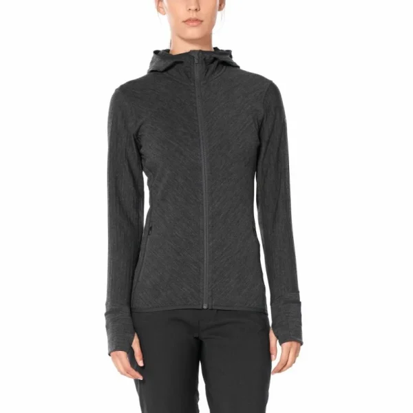 Meilleure vente 🤩 Icebreaker Descender LS Zip Hood – Sweatshirt en laine mérinos femme I Hardloop 🛒 6