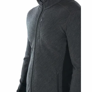 Offres 😉 Icebreaker Descender LS Zip – Polaire en laine mérinos homme I Hardloop 🎉 De Qualité 47