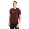 Top 10 🛒 Icebreaker Tech Lite II SS Tee Mountain Geology – T-shirt en laine mérinos homme 🎉 22