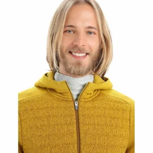 Coupon 😍 Icebreaker ZoneKnit Insulated LS Zip Hoodie – Sweatshirt en laine mérinos homme 😉 mode 22